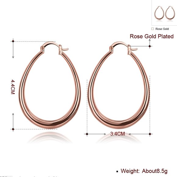 NEW Rose Gold Oval Hoop Earrings - Picture 4 of 4